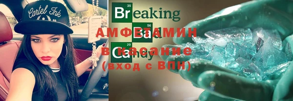 дживик Ельня