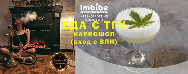дживик Ельня