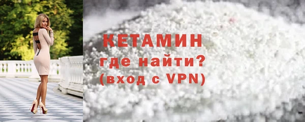 дживик Ельня