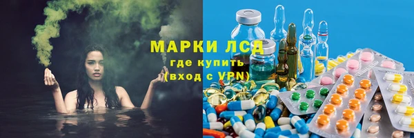 дживик Ельня