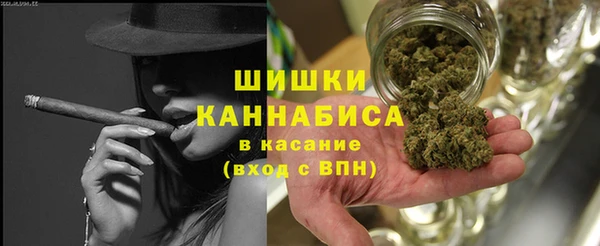 дживик Ельня