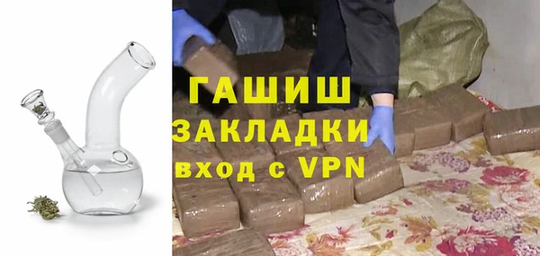 дживик Ельня