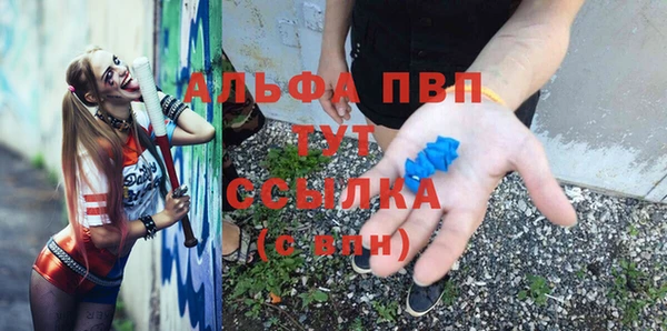 СК Елабуга