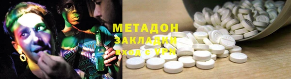 дживик Ельня