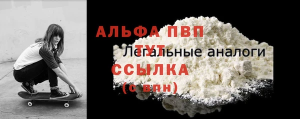 дживик Ельня