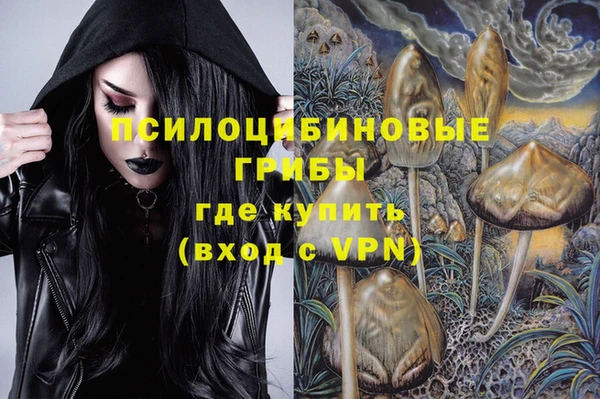 дживик Ельня