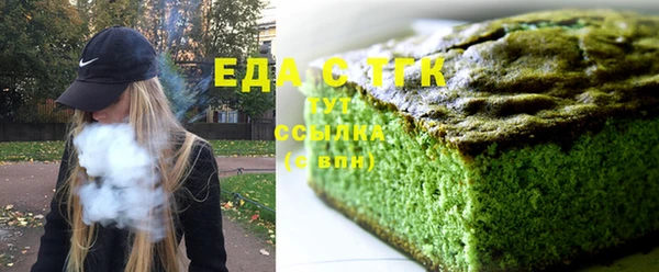 дживик Ельня