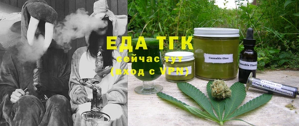 дживик Ельня