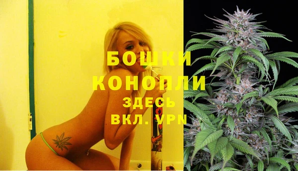 дживик Ельня
