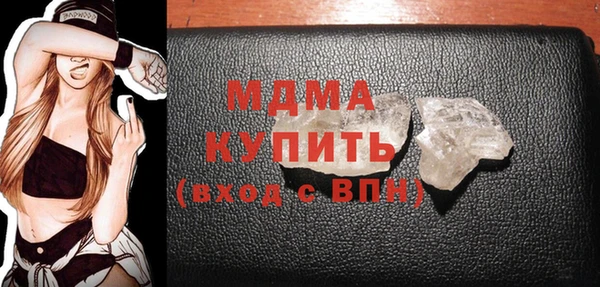 дживик Ельня
