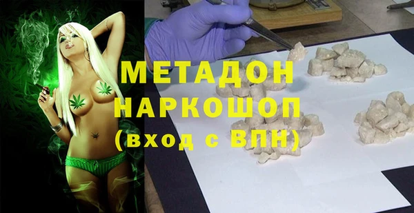 дживик Ельня